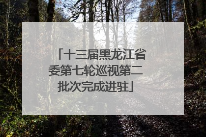 十三届黑龙江省委第七轮巡视第二批次完成进驻
